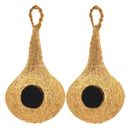 Bird Nest Regular 6 Inch