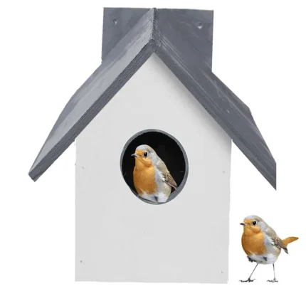 Blue Bird House