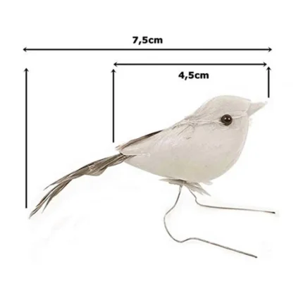 Tinny House With Birds